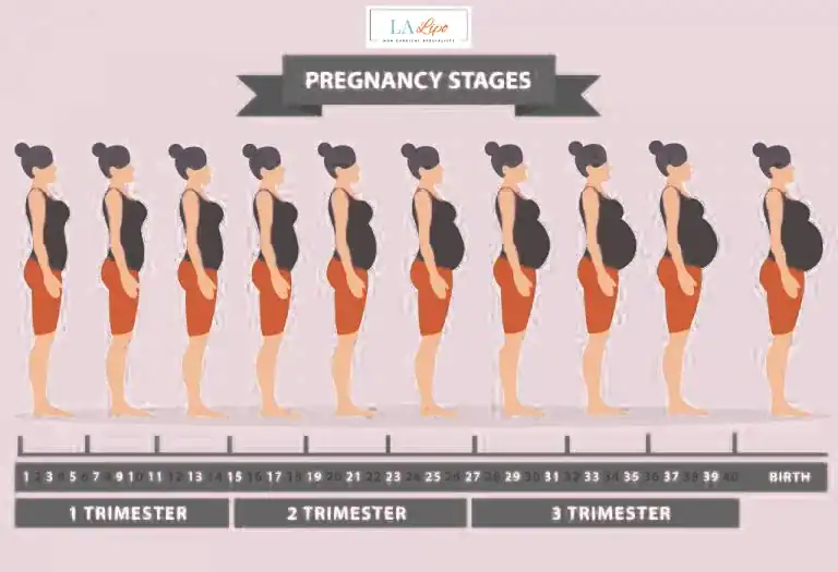 First Trimester (Weeks 1–12): Early Changes You Might Not Notice Suffolk